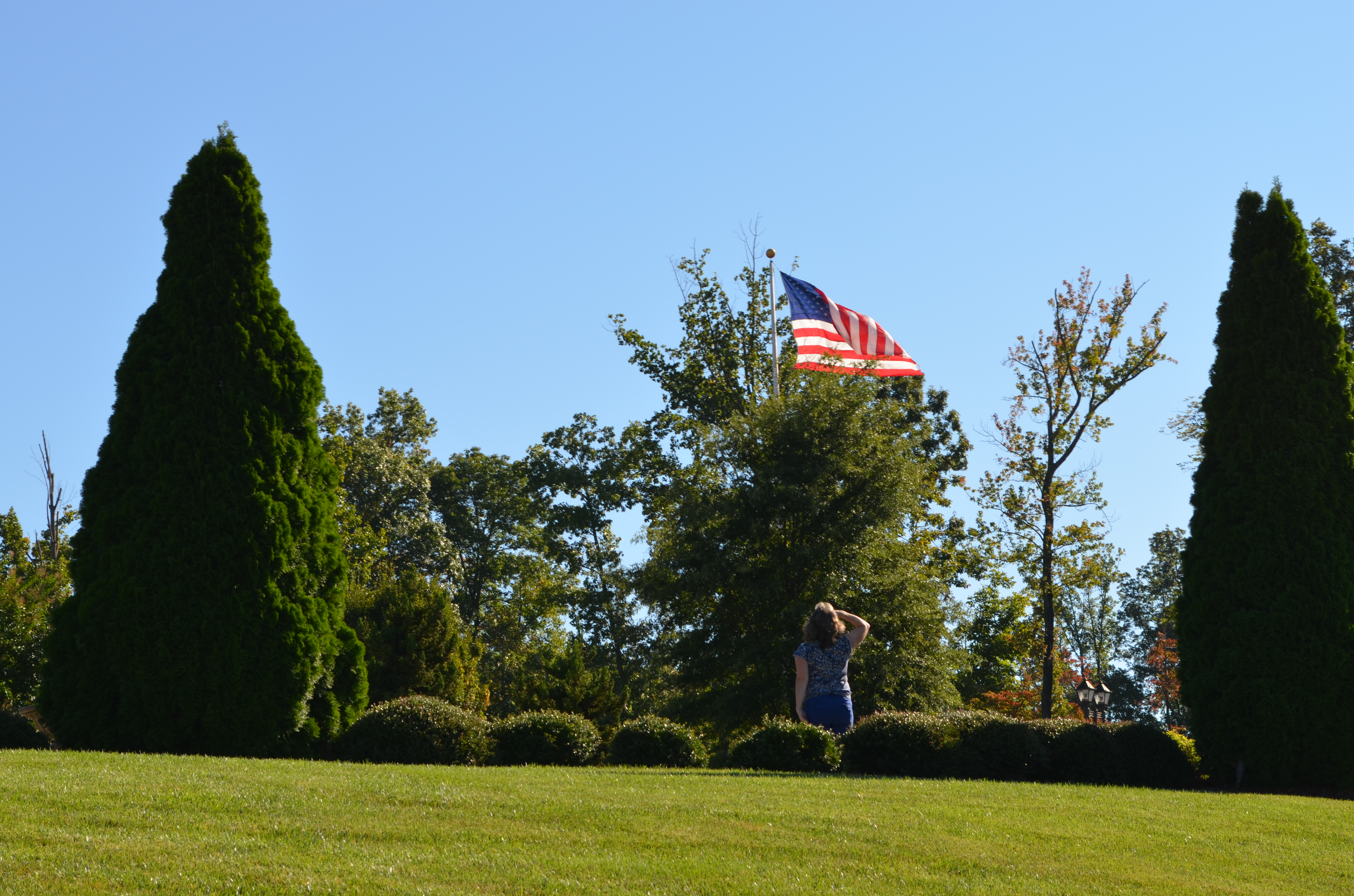 ./2013/Lexington NC/DSC_2986.JPG